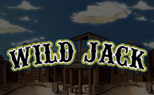 Игровой автомат Wild Jack